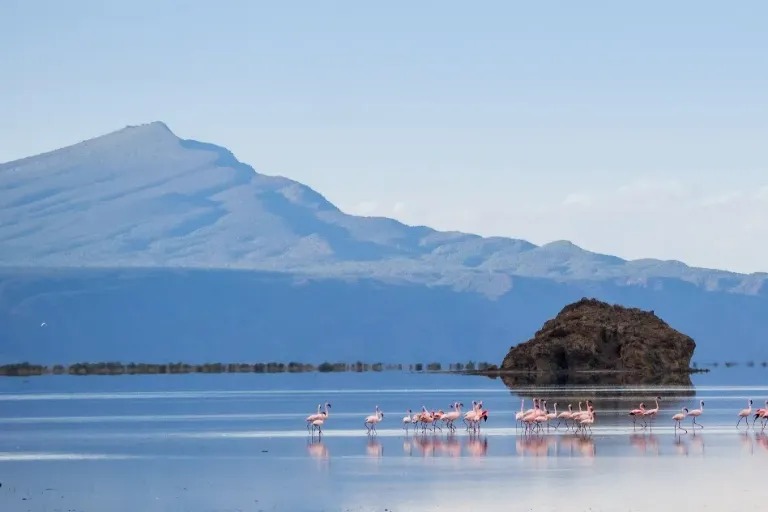 Birdwatching opportunities in Lake Manyara National Park