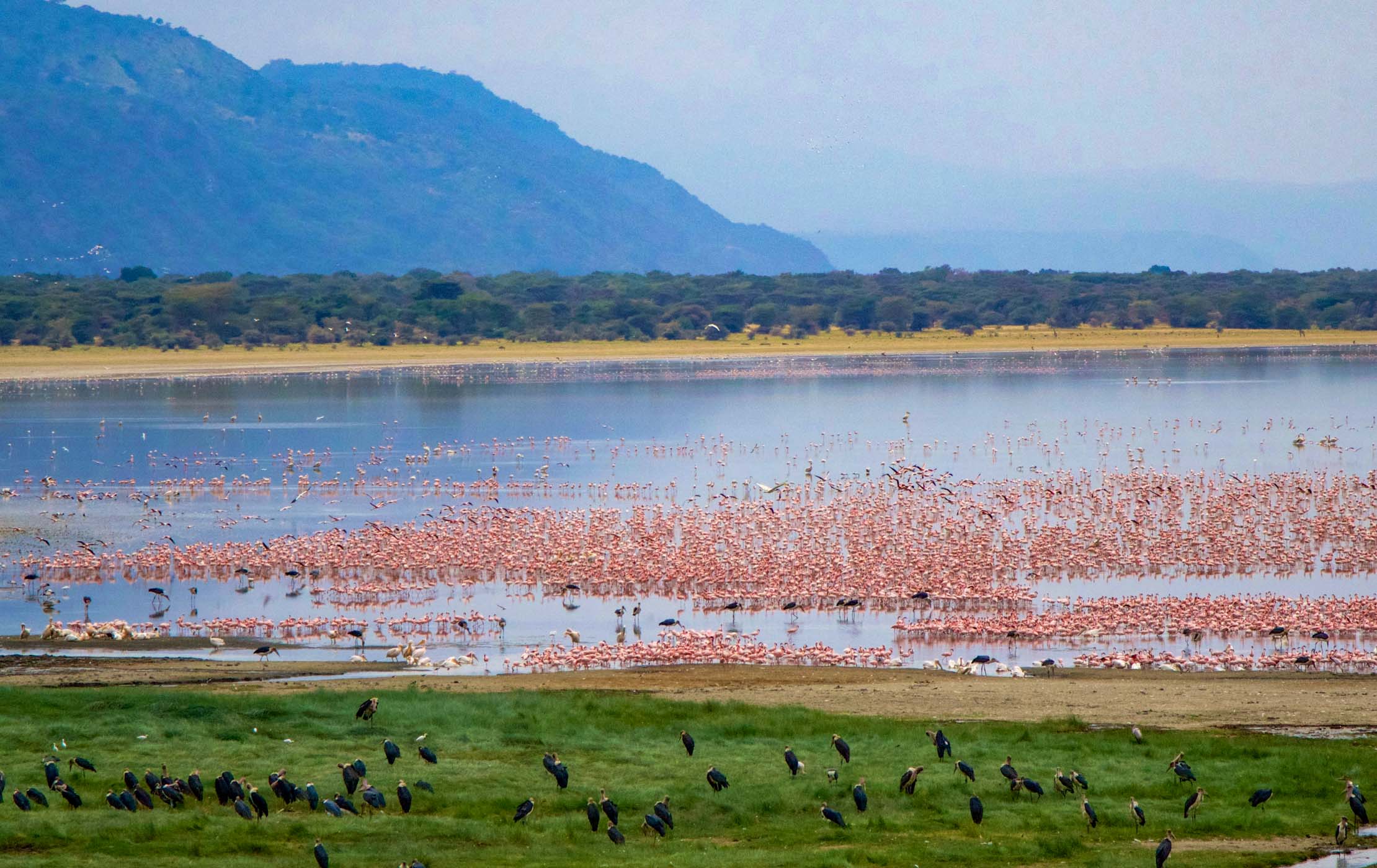 Lake Manyara National Park scenery and natural habitats