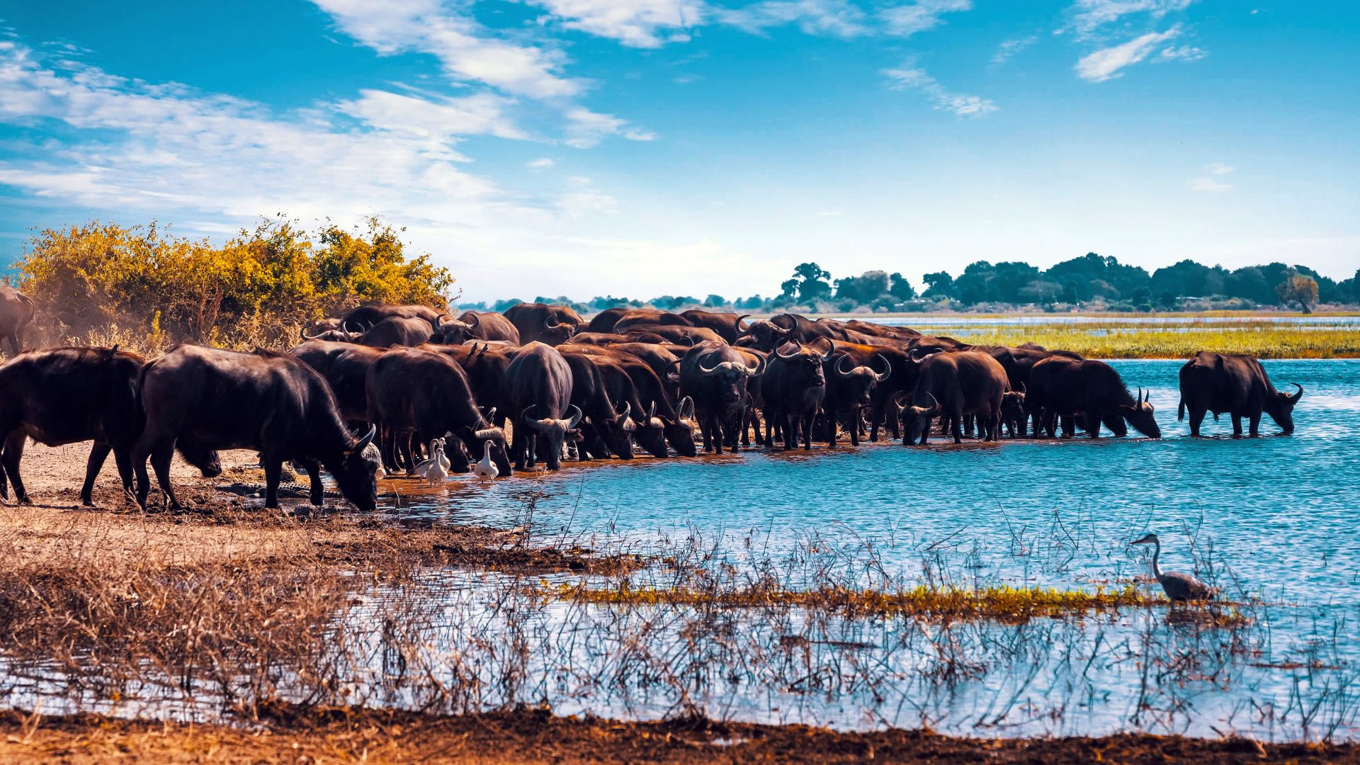 Landscape and safari experience in Lake Manyara