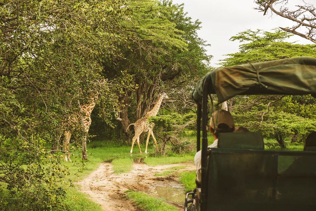 Natural scenery in Nyerere National Park