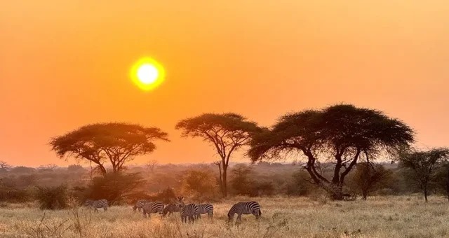 Remote wilderness scenery in Ruaha National Park