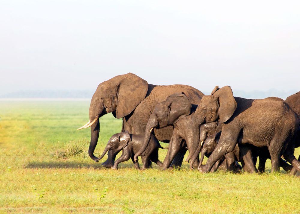 Tarangire National Park wilderness