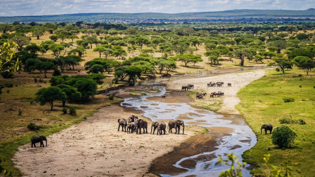 Tarangire River and surrounding African landscape